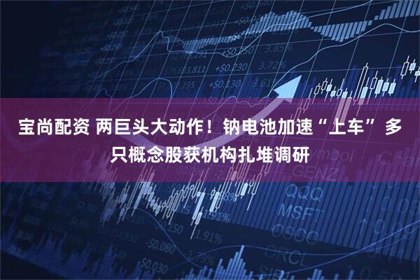 宝尚配资 两巨头大动作！钠电池加速“上车” 多只概念股获机构扎堆调研