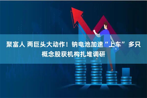 聚富人 两巨头大动作！钠电池加速“上车” 多只概念股获机构扎堆调研