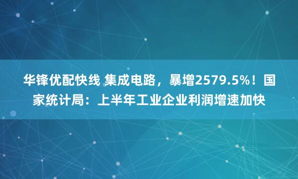 华锋优配快线 集成电路，暴增2579.5%！国家统计局：上半年工业企业利润增速加快
